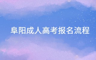 阜陽成人高考報(bào)名流程
