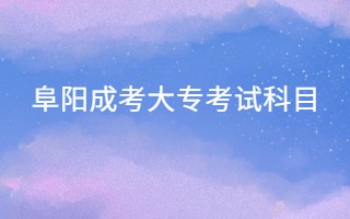 阜陽成考大專考試科目
